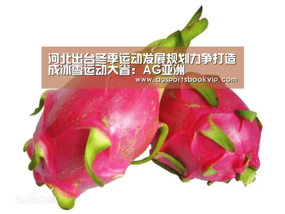 河北出台冬季运动发展规划力争打造成冰雪运动大省:AG亚洲(图2) AG通道