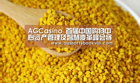 AGCasino_首届中国购物中心资产管理及智慧变革峰会将于8月召开(图4)