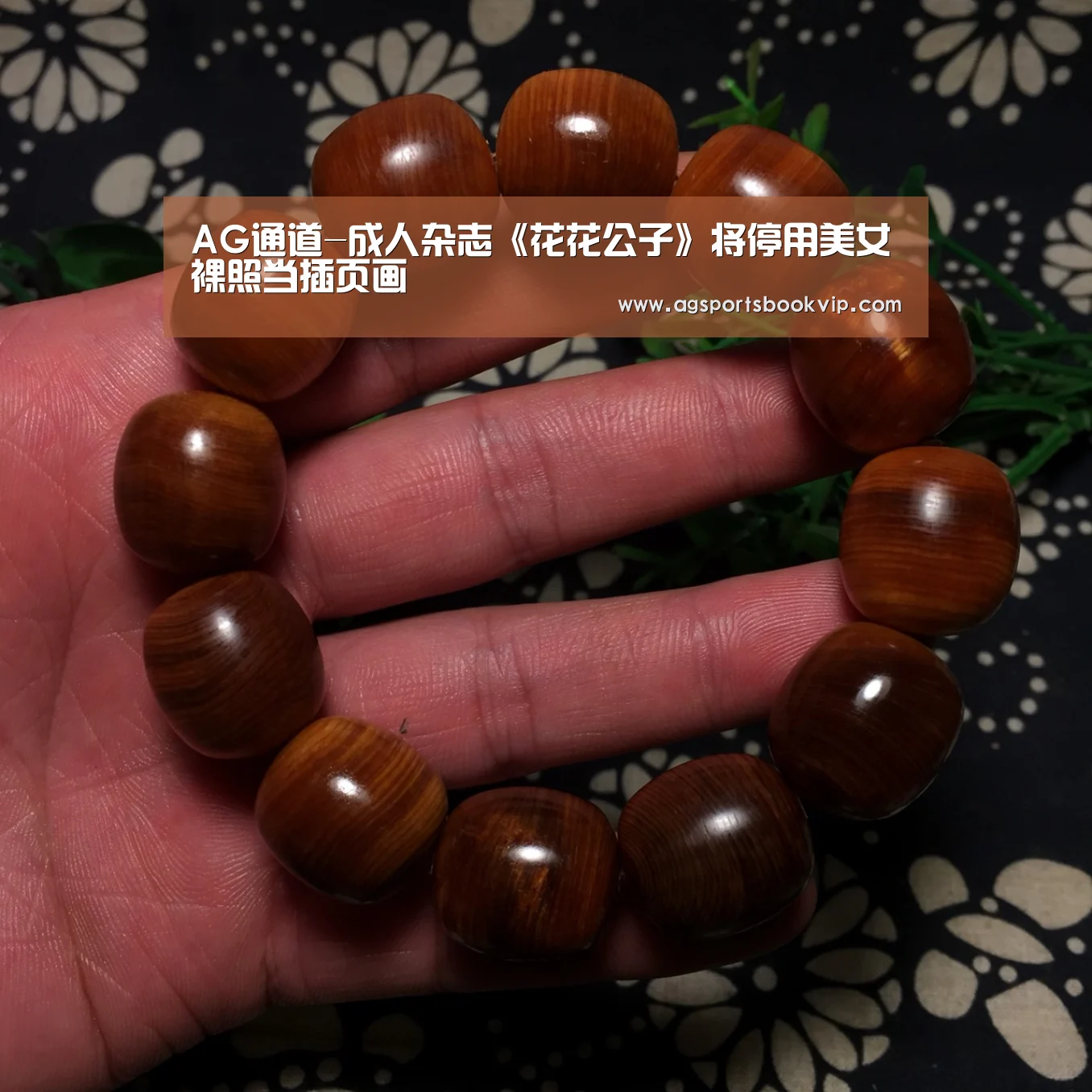 AG通道-成人杂志《花花公子》将停用美女裸照当插页画(图1) AG通道